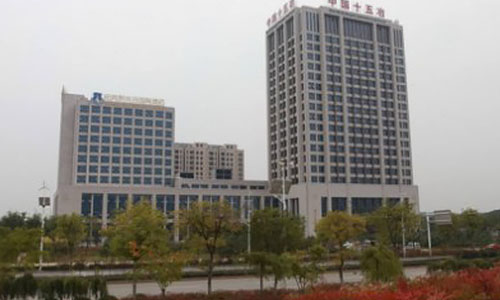 武漢市十五冶金通物質(zhì)設(shè)備有限公司(出口于肯尼亞、坦桑尼亞、剛果)